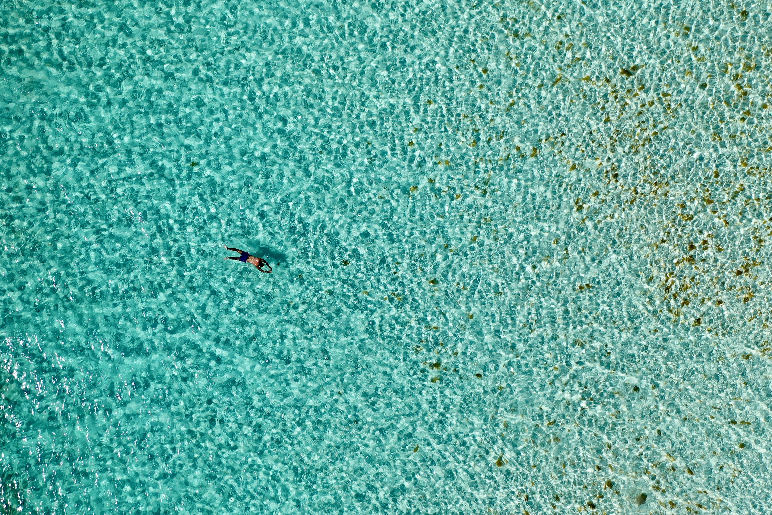 Snorkeling the turquoise bay