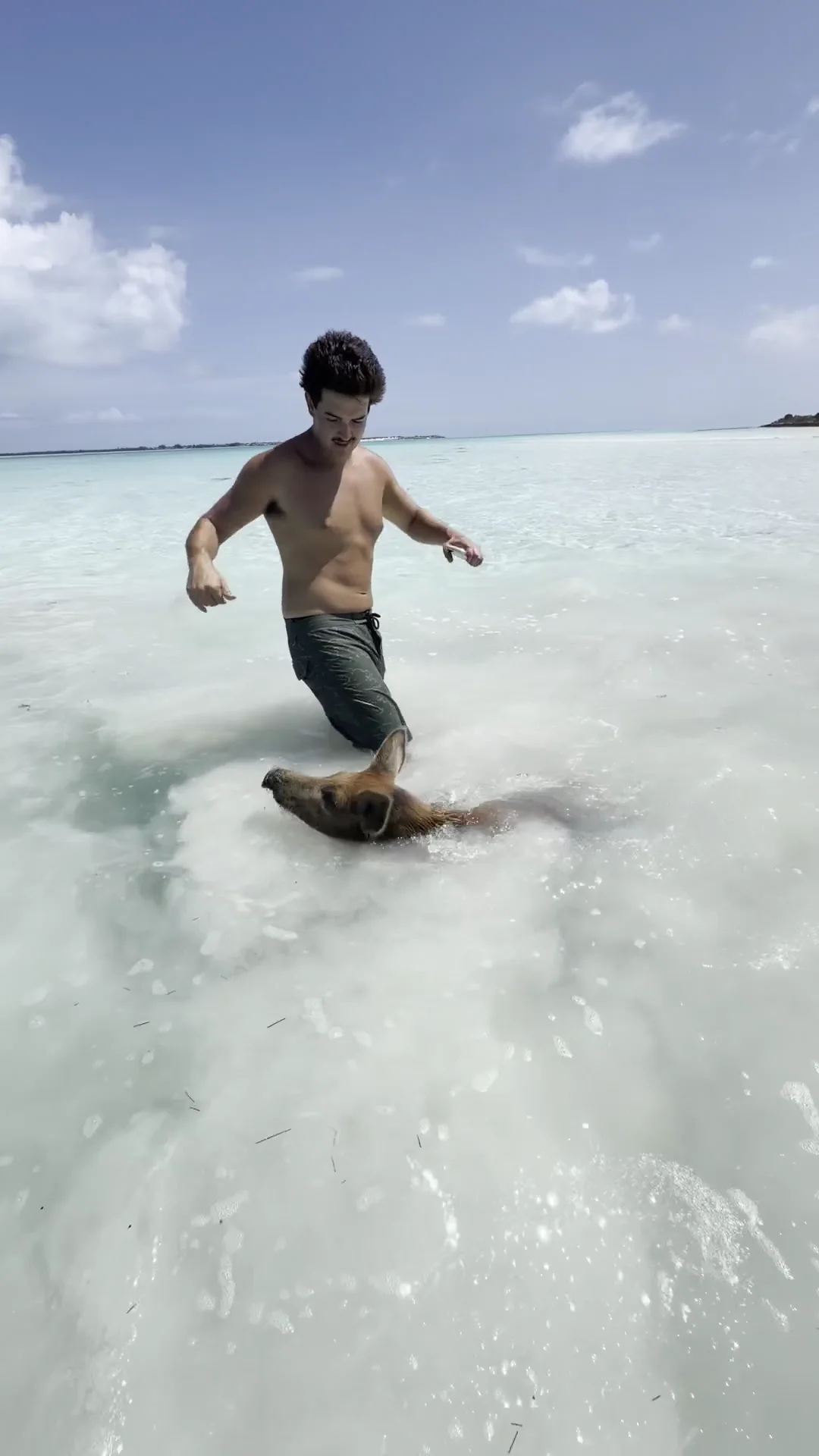 Swimming in the warm shallows