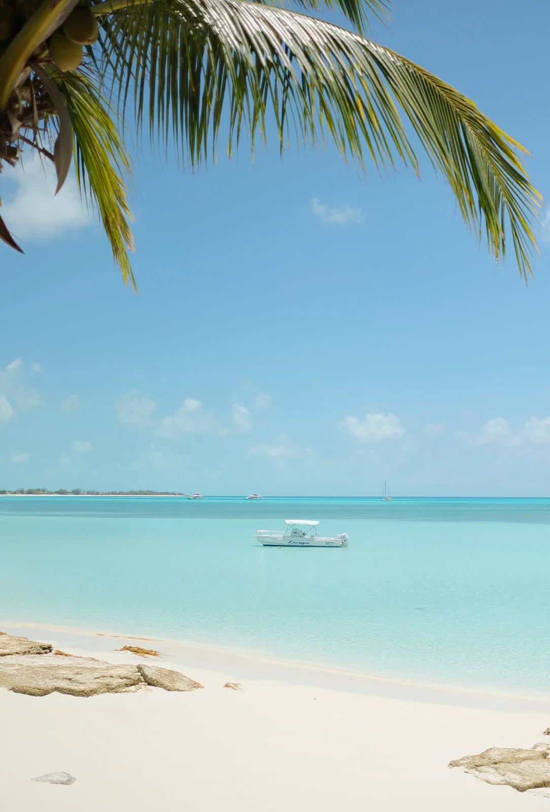 Turquoise water framed by palms at Coconut Bay