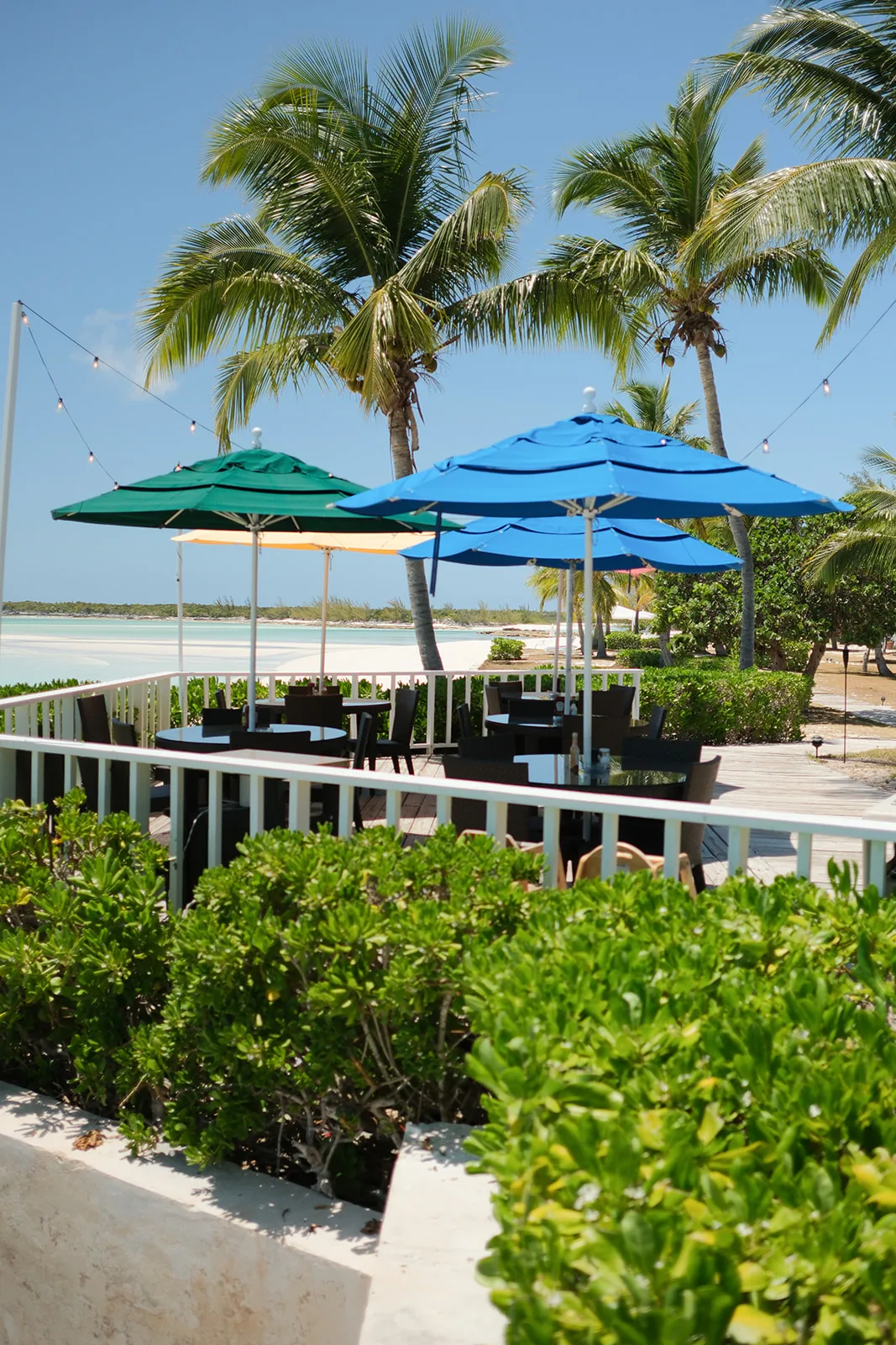 The beachside restaurant patio under umbrellas