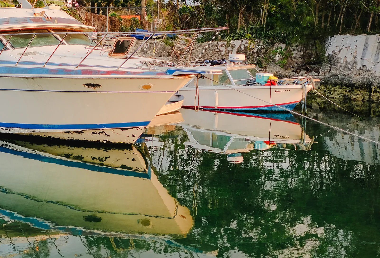 Boats moored at the dock